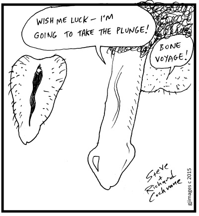 cocknballsbonevoyage